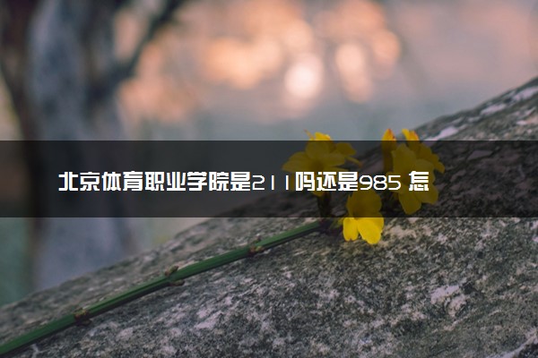 北京体育职业学院是211吗还是985 怎么样值得读吗及学长学姐评价