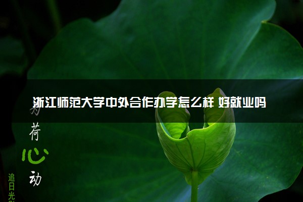 浙江师范大学中外合作办学怎么样 好就业吗