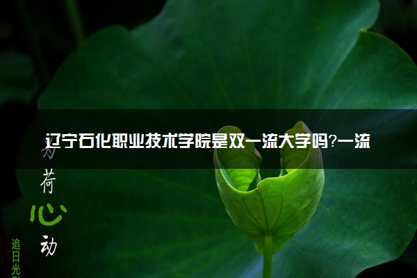辽宁石化职业技术学院是双一流大学吗？一流学科有哪些及历年分数线位次