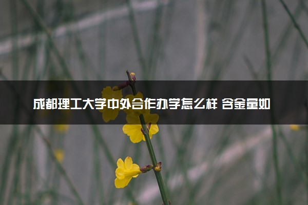 成都理工大学中外合作办学怎么样 含金量如何