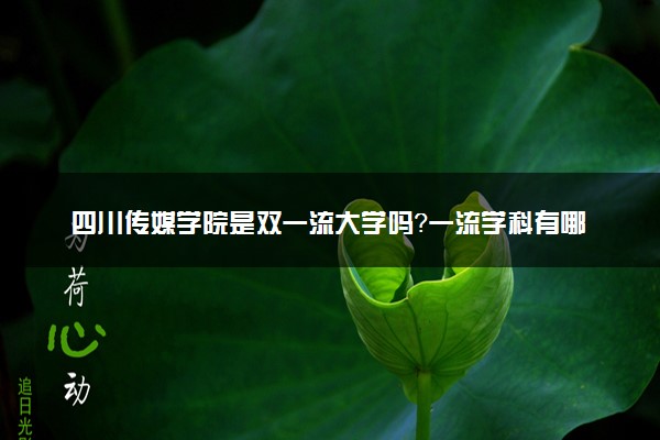 四川传媒学院是双一流大学吗？一流学科有哪些及历年分数线位次