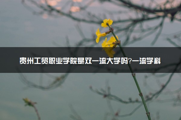 贵州工贸职业学院是双一流大学吗？一流学科有哪些及历年分数线位次