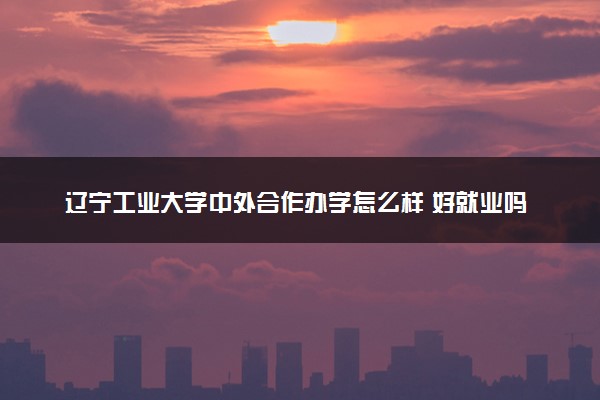 辽宁工业大学中外合作办学怎么样 好就业吗