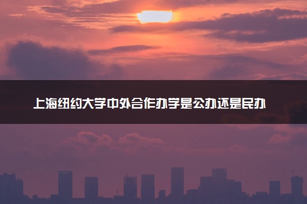 上海纽约大学中外合作办学是公办还是民办 值得去读吗
