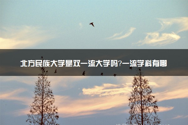 北方民族大学是双一流大学吗？一流学科有哪些及历年分数线位次