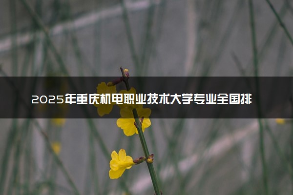 2025年重庆机电职业技术大学专业全国排名及王牌专业有哪些