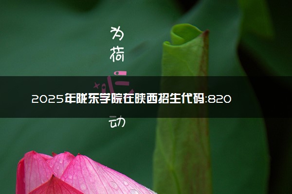 2025年陇东学院在陕西招生代码：8208 专业代码及报考指南