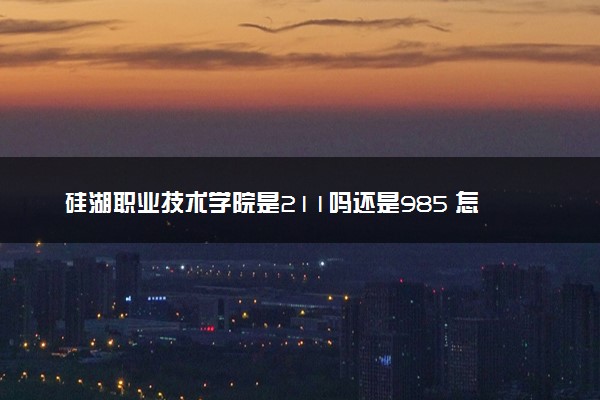 硅湖职业技术学院是211吗还是985 怎么样值得读吗及学长学姐评价