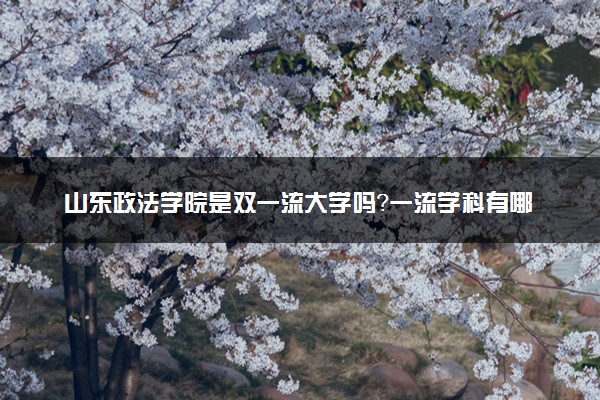 山东政法学院是双一流大学吗？一流学科有哪些及历年分数线位次
