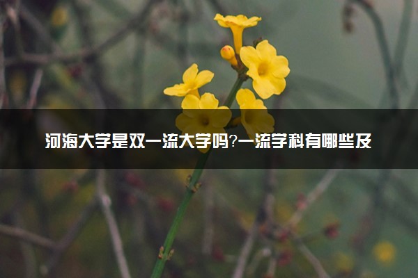 河海大学是双一流大学吗？一流学科有哪些及历年分数线位次