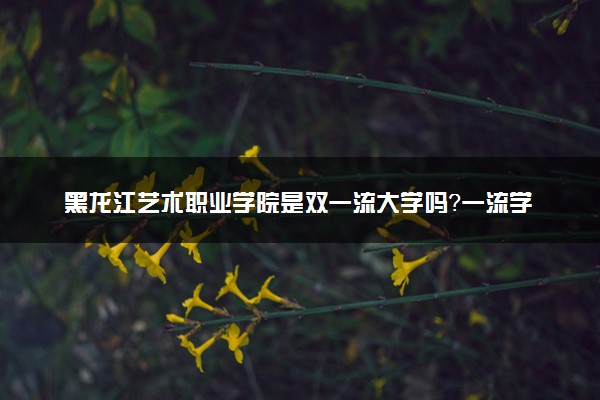 黑龙江艺术职业学院是双一流大学吗？一流学科有哪些及历年分数线位次