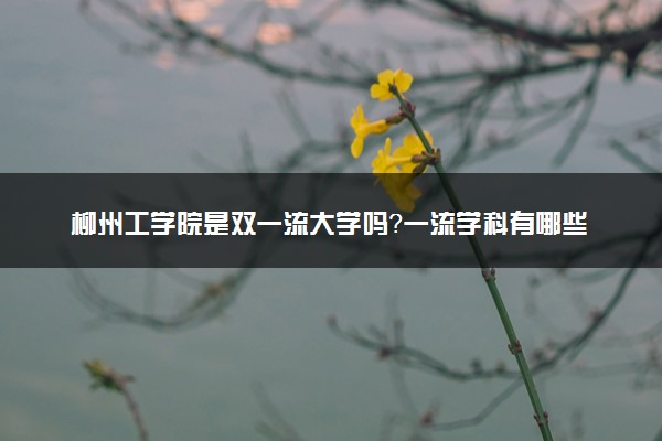 柳州工学院是双一流大学吗？一流学科有哪些及历年分数线位次