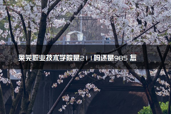 莱芜职业技术学院是211吗还是985 怎么样值得读吗及学长学姐评价