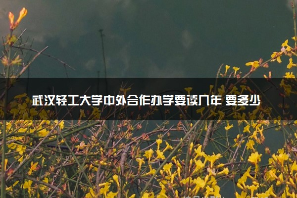 武汉轻工大学中外合作办学要读几年 要多少学费
