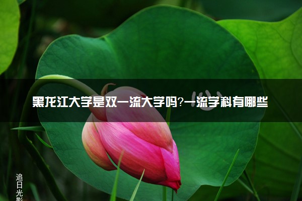 黑龙江大学是双一流大学吗？一流学科有哪些及历年分数线位次