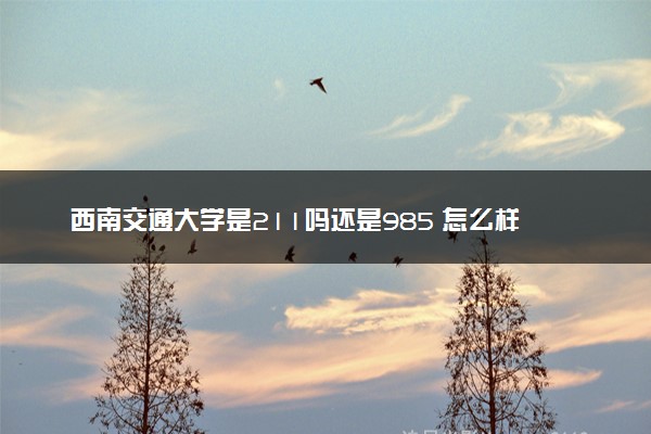 西南交通大学是211吗还是985 怎么样值得读吗及学长学姐评价