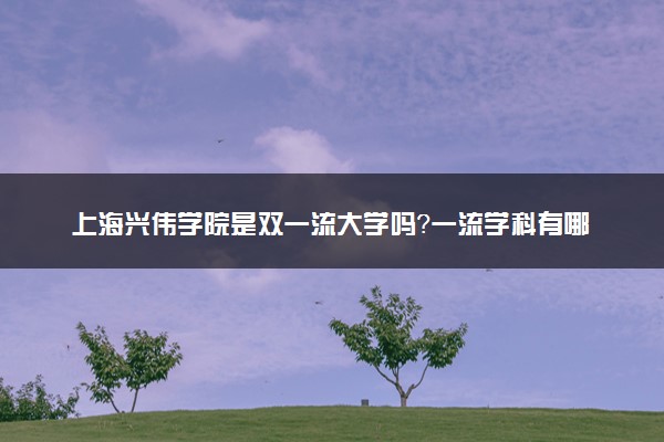 上海兴伟学院是双一流大学吗？一流学科有哪些及历年分数线位次