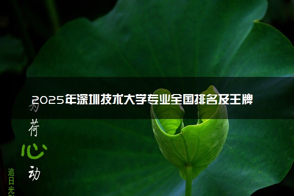2025年深圳技术大学专业全国排名及王牌专业有哪些