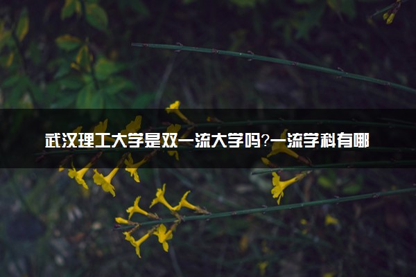 武汉理工大学是双一流大学吗？一流学科有哪些及历年分数线位次