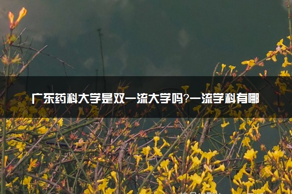 广东药科大学是双一流大学吗？一流学科有哪些及历年分数线位次