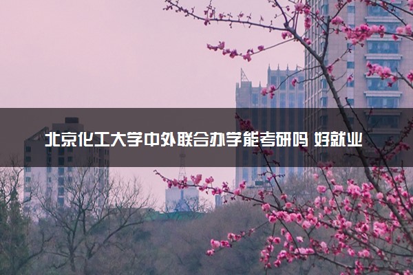 北京化工大学中外联合办学能考研吗 好就业吗