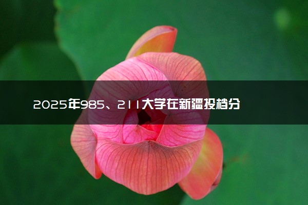 2025年985、211大学在新疆投档分数线出炉 最低分是多少