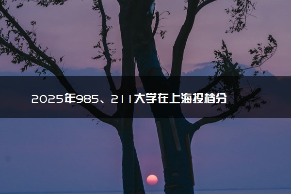 2025年985、211大学在上海投档分数线出炉 最低分是多少