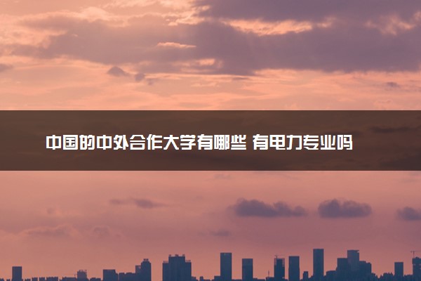 中国的中外合作大学有哪些 有电力专业吗