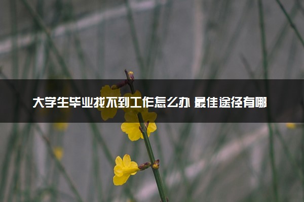 大学生毕业找不到工作怎么办 最佳途径有哪些