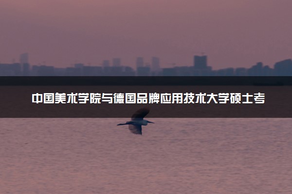 中国美术学院与德国品牌应用技术大学硕士考试通过率