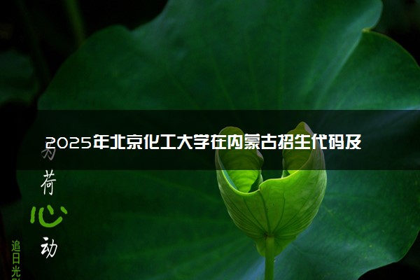 2025年北京化工大学在内蒙古招生代码及专业代码 北京化工大学内蒙古代码是多少？怎么查询？