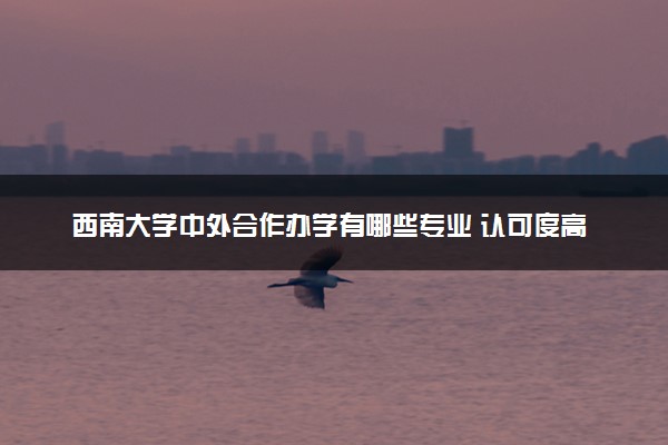 西南大学中外合作办学有哪些专业 认可度高吗