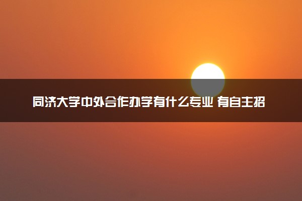 同济大学中外合作办学有什么专业 有自主招生吗