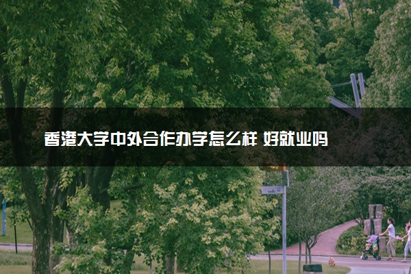 香港大学中外合作办学怎么样 好就业吗