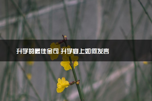 升学的最佳金句 升学宴上如何发言