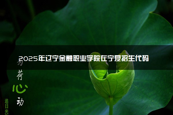 2025年辽宁金融职业学院在宁夏招生代码：2176 专业代码及报考指南