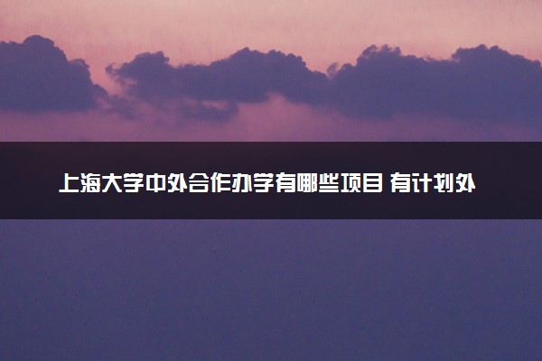 上海大学中外合作办学有哪些项目 有计划外自主招生吗