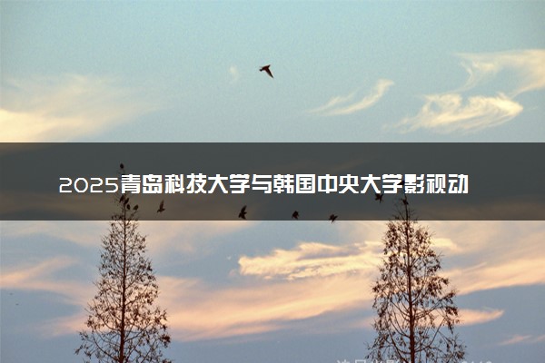 2025青岛科技大学与韩国中央大学影视动画专业艺术硕士招生要求