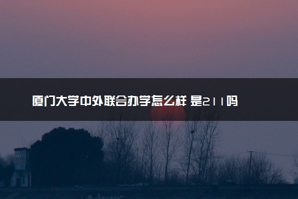 厦门大学中外联合办学怎么样 是211吗