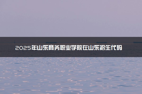 2025年山东商务职业学院在山东招生代码及专业代码 山东商务职业学院山东代码是多少？怎么查询？
