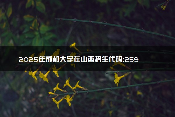 2025年成都大学在山西招生代码：2598 专业代码及报考指南