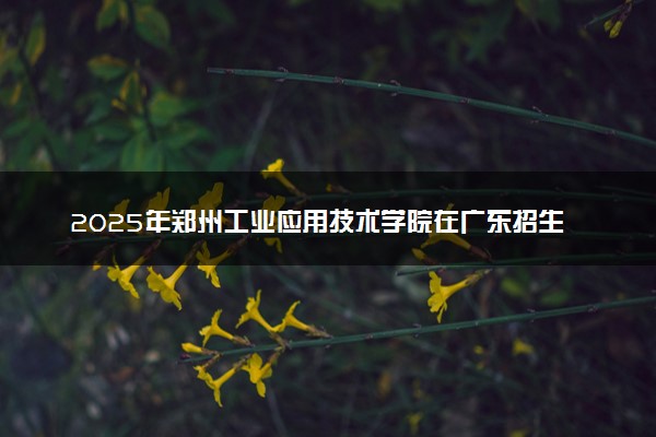 2025年郑州工业应用技术学院在广东招生代码及专业代码 郑州工业应用技术学院广东代码是多少？怎么查询？