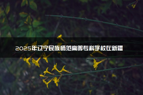 2025年辽宁民族师范高等专科学校在新疆招生代码：3457 专业代码及报考指南