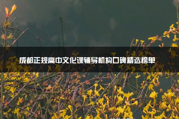 成都正规高中文化课辅导机构口碑精选榜单