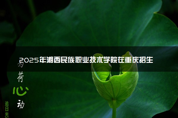 2025年湘西民族职业技术学院在重庆招生代码及专业代码 湘西民族职业技术学院重庆代码是多少？怎么查询？