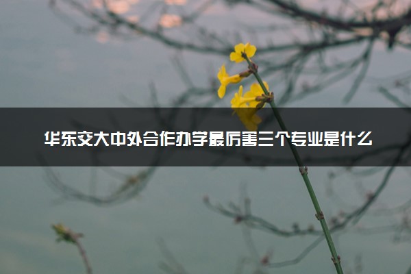 华东交大中外合作办学最厉害三个专业是什么 学费多少钱