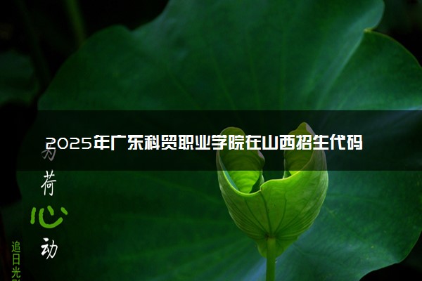 2025年广东科贸职业学院在山西招生代码：2424 专业代码及报考指南