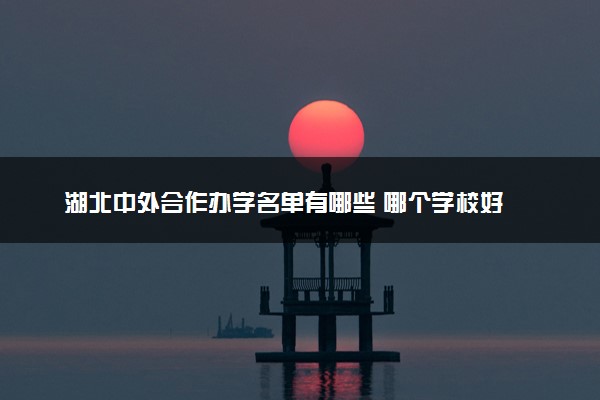 湖北中外合作办学名单有哪些 哪个学校好