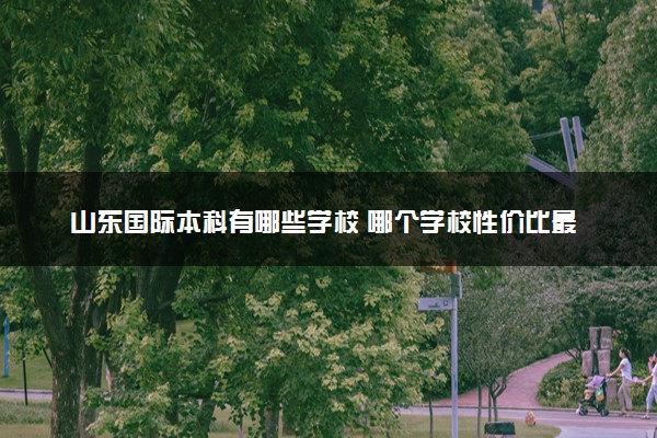 山东国际本科有哪些学校 哪个学校性价比最高