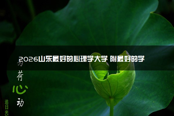 2026山东最好的心理学大学 附最好的学校推荐